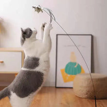 Carregar imagem no visualizador da galeria, Brinquedo Interativo para Gatos - Simulador de Passarinho