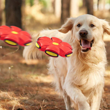Carregar imagem no visualizador da galeria, Bola Voadora para Cães e Gatos - 50% de desconto!