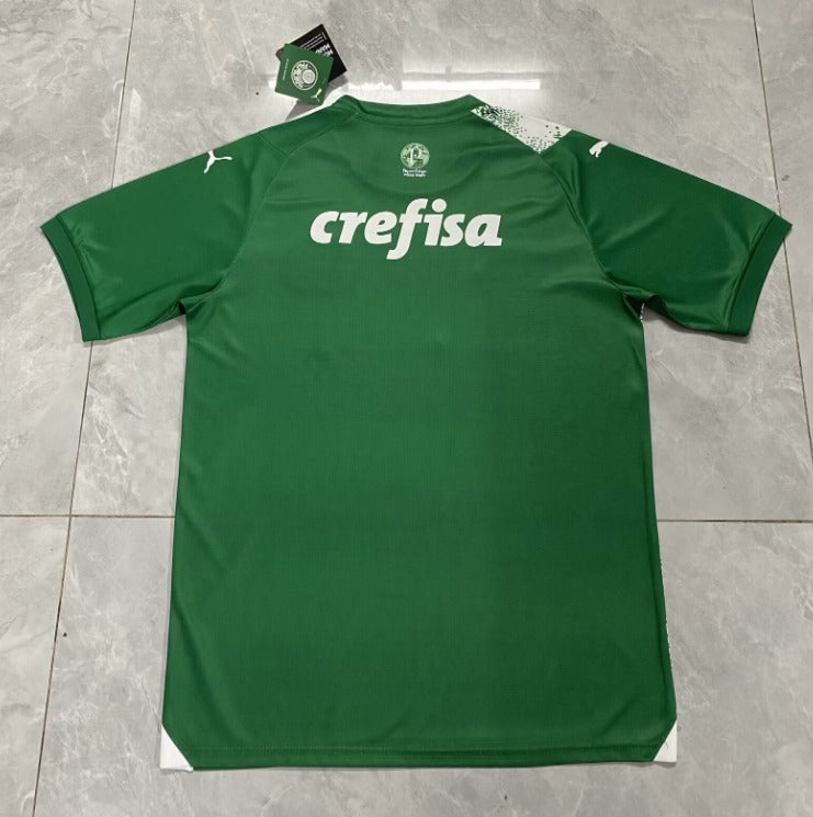 Camisa Palmeiras Meio Ambiente II 24/25
