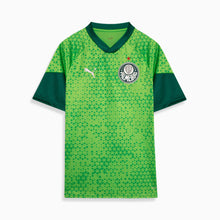 Carregar imagem no visualizador da galeria, Camisa Treino Palmeiras 24/25
