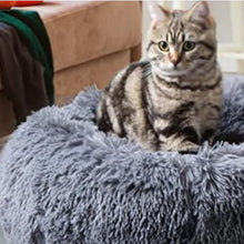 Carregar imagem no visualizador da galeria, Cama Para Cachorro e Gato - Caminha Nuvem [PROMOÇÃO DE ANO NOVO ✨]
