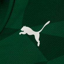 Carregar imagem no visualizador da galeria, Camisa I Palmeiras 23/24
